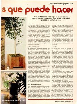 4 maceteros que puede hacer - Junio 1981