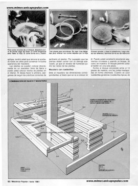 4 maceteros que puede hacer - Junio 1981