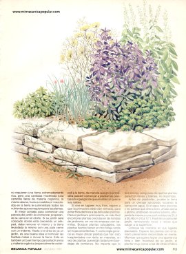Cómo plantar un jardín básico de hierbas para su cocina - Agosto 1995
