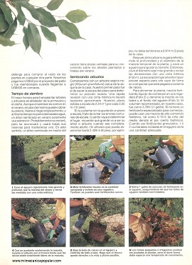 Embelleciendo el patio - Septiembre 1994