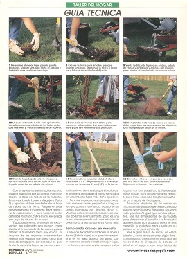 Embelleciendo el patio - Septiembre 1994