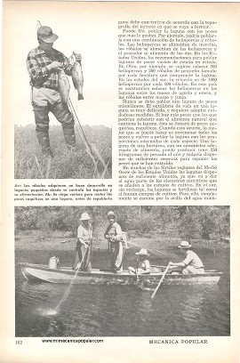 La Pesca en las Lagunas - Julio 1958