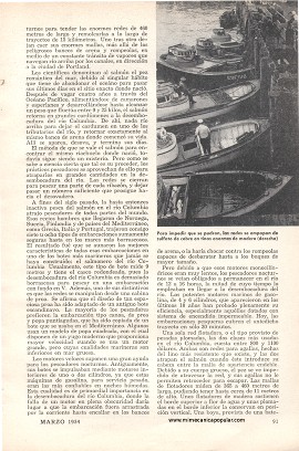 La pesca del salmón en el turno de noche - Marzo 1954