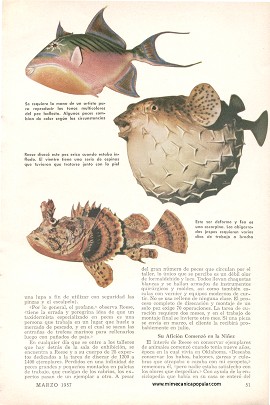 Donde el Esfuerzo de un Pescador Se Convierte en una Obra Maestra - Marzo 1957