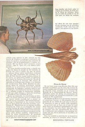 Donde el Esfuerzo de un Pescador Se Convierte en una Obra Maestra - Marzo 1957