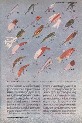 Pesca Con Vara de Carretel Fijo - Julio 1953
