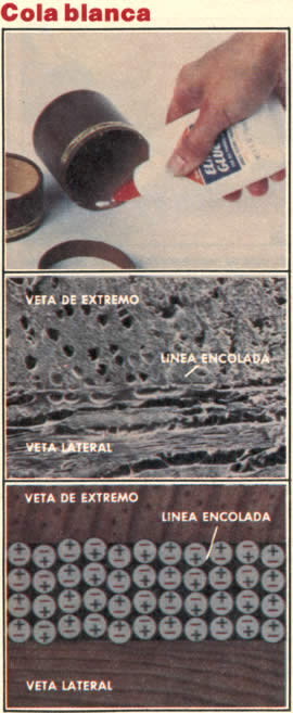 Las colas blancas (acetatos de polivinilo) son los adhesivos de propósito general de uso más común. Las moléculas en la cola no se mezclan de una manera tan completa como lo hacen en el cemento de contacto, pero el enlace es algo más fuerte. Todas las cargas permanecen en el mismo sitio de cada molécula. Sin embargo, en los productos que emplean los disolventes, se produce cierto encogimiento de este enlace