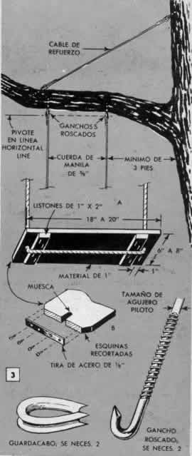 Clic en la imagen para ver más grande y claro - Cuelgue El Columpio De Un Árbol