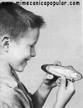 1. Este jovencito está orgulloso de lo que tiene en las manos: una réplica en plástico del primer pescado que ha cogido