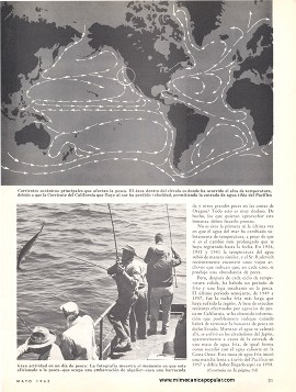 Bonanza de Pesca - Mayo 1962