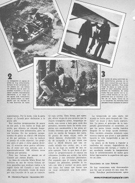 Para el excursionista: 5 formas diferentes de pasar las vacaciones - Noviembre 1977