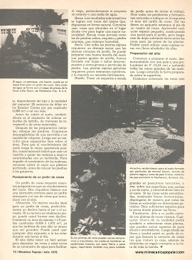 Piedras en su jard&iacute;n - Julio 1978