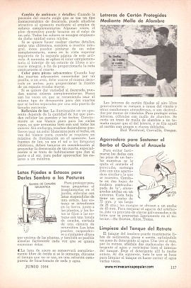Pintura Dimensional - Junio 1954