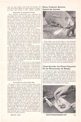 F&aacute;ciles M&eacute;todos de Quitar Pintura - Mayo 1956