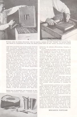 Hay Dinero en la Miel - Marzo 1948