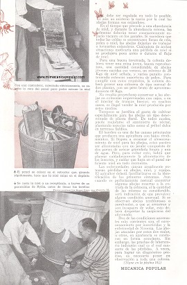 Hay Dinero en la Miel - Marzo 1948