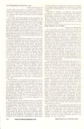 Hay Dinero en la Miel - Marzo 1948