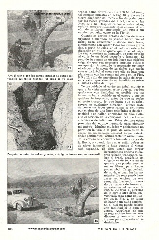 Cómo Cortar Arboles - Marzo 1951