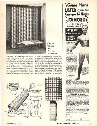 Uso de Tiestos para Adornar Habitación - Noviembre 1963