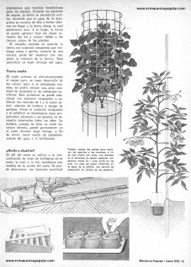 Huerto Casero - Junio 1975