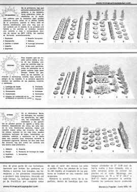 Huerto Casero - Junio 1975