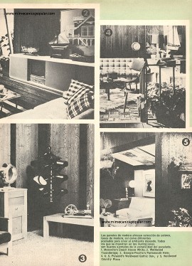 Empanelando Paredes - Agosto 1975