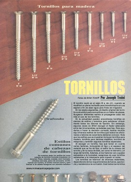 Guía para elegir el tornillo para cada trabajo - Noviembre 1987