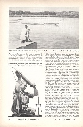¿Asustan los Motores A los Peces? - Mayo 1958
