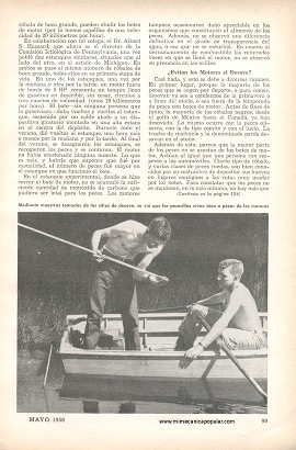 ¿Asustan los Motores A los Peces? - Mayo 1958