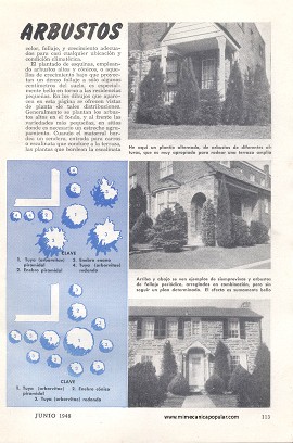 Decorando con Arbustos - Junio 1948