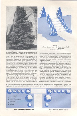 Decorando con Arbustos - Junio 1948