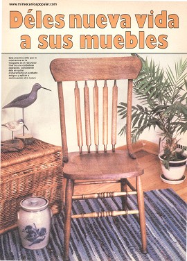 D&eacute;les nueva vida a sus muebles - Febrero 1984