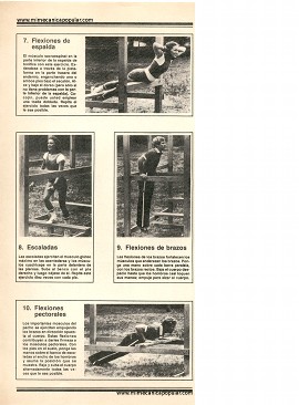 Gimnasio para el patio - Diciembre 1979
